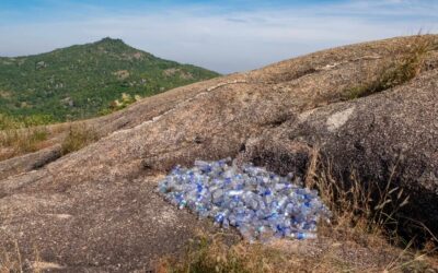 Caring for Creation in Cambodia